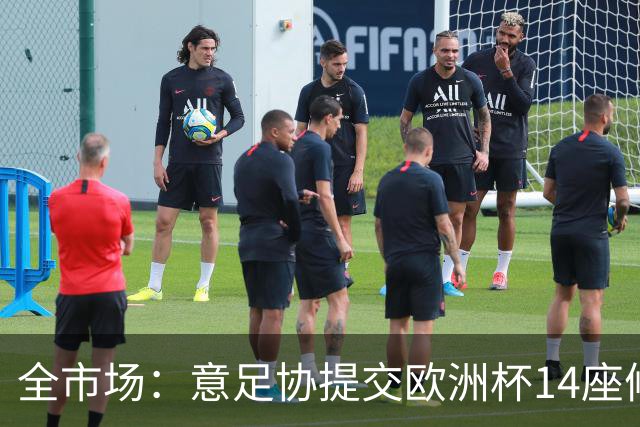 全市场：意足协提交欧洲杯14座候选球场资料