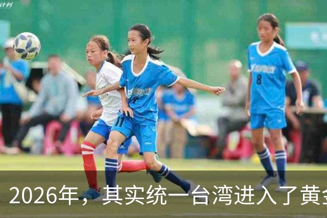 2026年，其实统一台湾进入了黄金“窗口期”，这种感觉很强烈